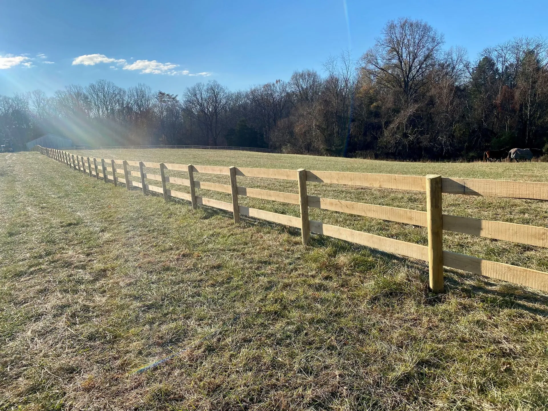 Three-board pasture at golden hour